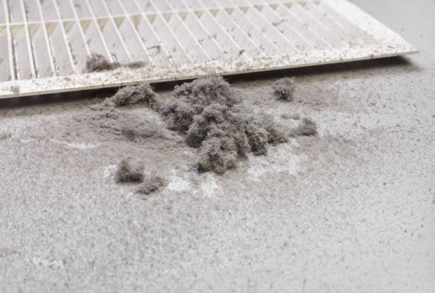 Best Air Duct Sanitizing Services  in Dumbarton, VA