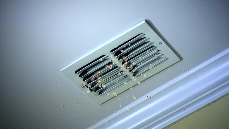 Best Affordable Duct Cleaning Services  in Dumbarton, VA