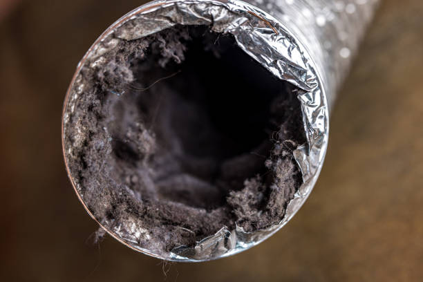 Best Air Duct Cleaning Company Near Me  in Dumbarton, VA